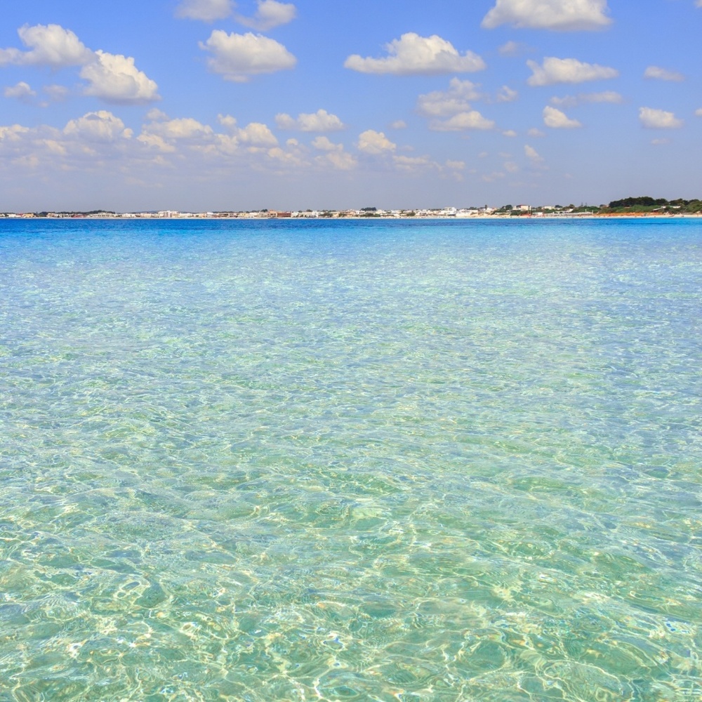 Meet your Posher, Elle